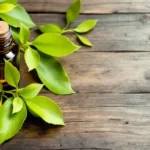 ein kräuterexperte erklärt, wie lorbeerblätter natürliche verjüngung fördern und dein wohlbefinden steigern können.