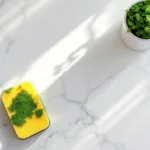 entdecken sie ein kostengünstiges küchenmittel, das ohne besen und chemie moos innerhalb einer stunde effektiv entfernt. nachhaltig, einfach und schnell!